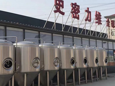 丹凤精酿啤酒设备厂—如何判断精酿啤酒设备的密封件需要更换？